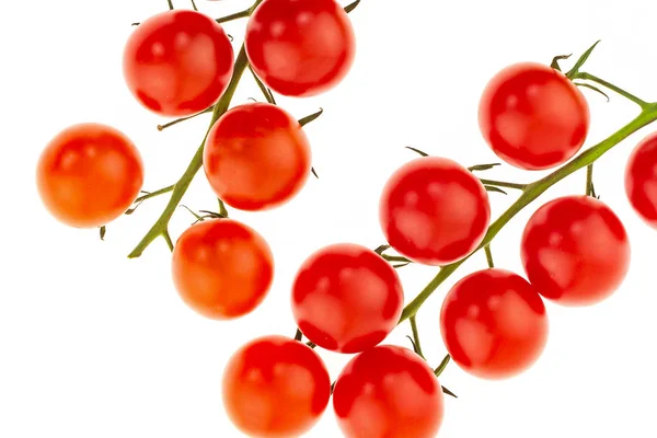 Tomates maduros cereja vermelha em um ramo verde vegetais brilhantes em um fundo branco close-up — Fotografia de Stock