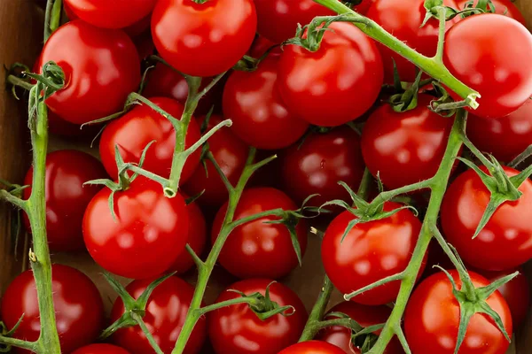 Tomate cereja fundo vegetal vermelho brilhante. Legumes em um ramo de base de desenho apetitoso suculento — Fotografia de Stock