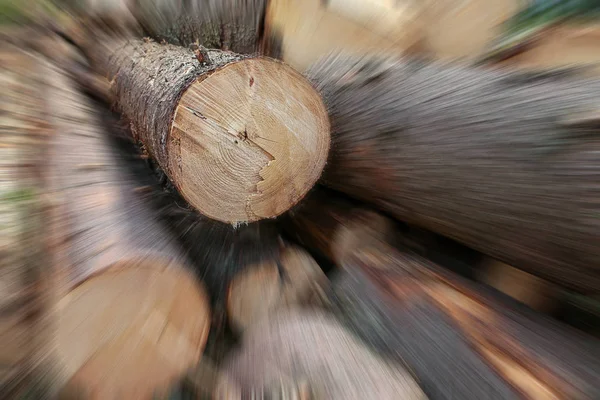 Long trunks of pine trees sawn wood stack speed blur focus on the top row blur motion — Stock Photo, Image