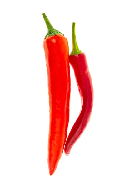Vaina de pimiento rojo chile caliente mezcla curvada de pimientos vegetal brillante sobre fondo blanco — Foto de Stock