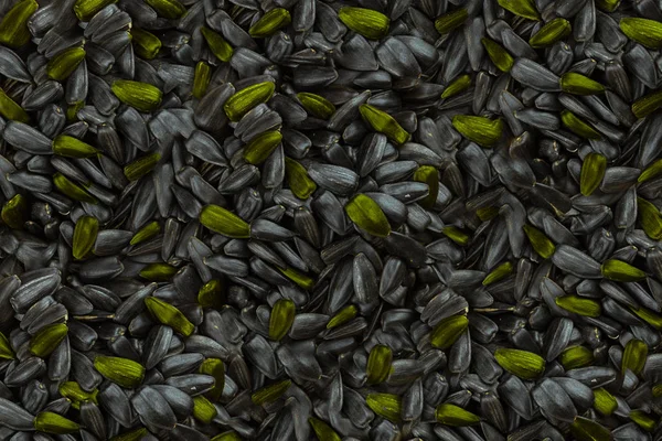 배경 검은 해바라기 씨앗 밝은 녹색 카키 밝은 산재 베이스 디자인 빈티지 — 스톡 사진