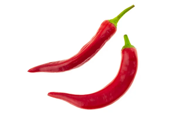 Pár fényes piros chili paprika hosszú csavart Pod fehér elszigetelt háttér kulináris háttér — Stock Fotó