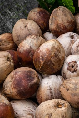 hindistan cevizi kahverengi meyve palmiye ağaçları birçok fındık kazık yakın-up dikey arka plan tasarımı asya tropikal