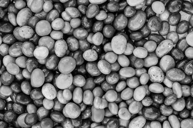 tek renkli tonda arka plan birçok mini şekerler arka plan web tasarım şenlikli tasarım