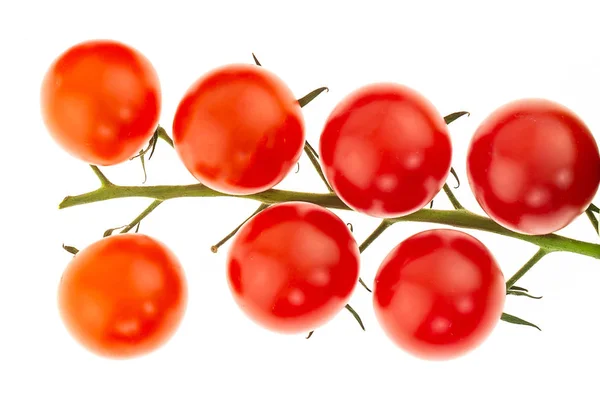 Ramo horizontal de tomates cereja mini tomate vermelho no fundo branco peça de design de supermercado — Fotografia de Stock