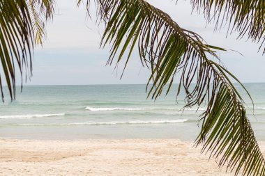 tropikal arka plan tasarım temeli kar-beyaz plaj okyanus güneşli gün dinlenmek