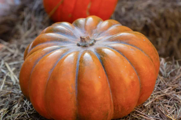 Calabaza naranja otoño vegetal simétrico acanalado cosecha estacional sobre un fondo beige —  Fotos de Stock