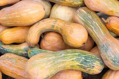 yığın portakal uzun kabak hasat çiftlik sonbahar sebze madde diyet gıda