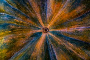 merkezi kabak sebze arka plan turuncu yeşil doğal tasarım hasat sonbahar