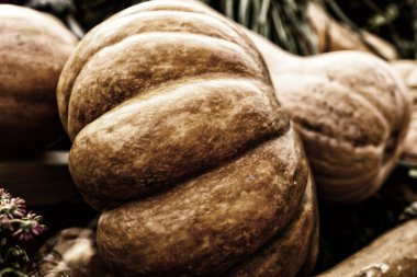 kabak kaba nervürlü vintage tonlama yakın çekim arka plan sebze mevsimlik