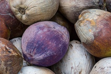 set hindistan cevizi fındık, kurutulmuş, kopra temizlenmiş, bütün meyve, yıpranmış bej mor