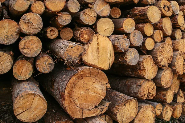 Birçok ağaç gövdeleri koyu kahverengi eski yıpranmış arka plan günlük yakıt şömine — Stok fotoğraf