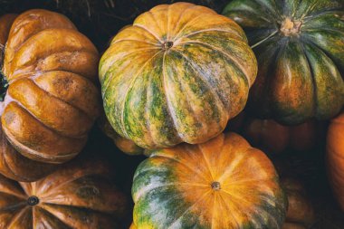 sebze desen çok yeşil turuncu yeşil sonbahar arka plan sonbahar tasarımı