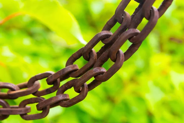 metal chain rings brown old weathered hanging piece of chain length on a sunny green blurred background