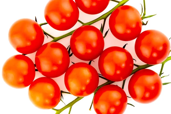 Mini ronde tomates brillantes rameau cerise mûr sur un fond blanc légumes isolés — Photo