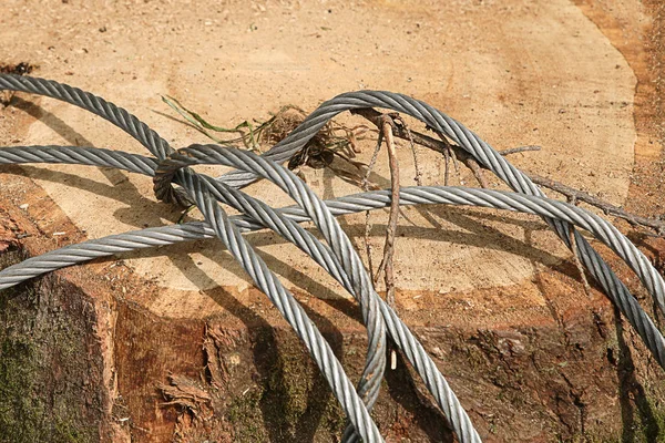 Mattiertes Metall dickes Seil grau auf einer breiten Säge geschnitten Kiefernholz Abholzung — Stockfoto