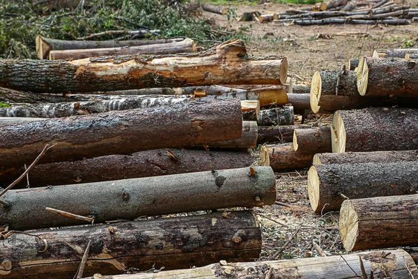 Tronchi di pino segato tronchi irregolari con nodi di registrazione costruzione di materiale ecologico in una giornata di sole — Foto Stock