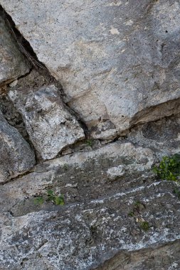 dikey taş panel eski çatlak duvar kaya yeşil çim büyüyen yıpranmış