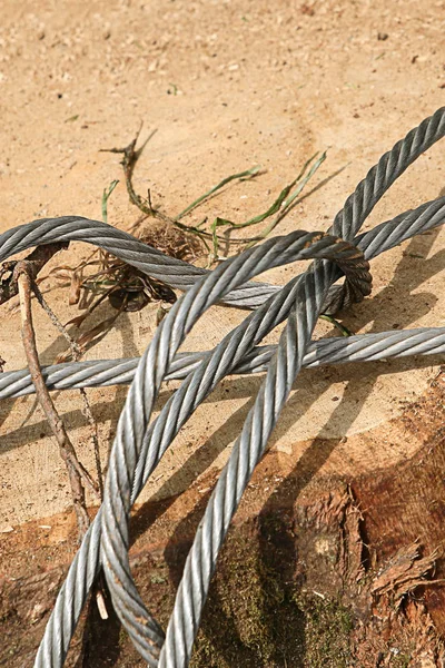 Metal cable tough silver close-up on the background of a large tree industrial design — Stock Photo, Image