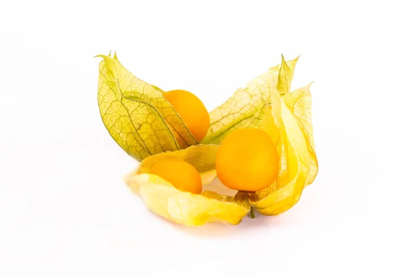 Três amarelo maduro physalis doce redondo em um fundo branco, inverno cereja amarelo — Fotografia de Stock