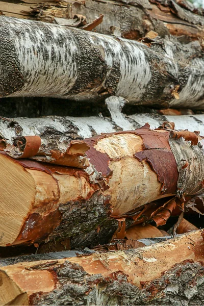 Horizontal logs high pile birch trunks flaky bark fresh trees background rustic pattern natural — Stock Photo, Image