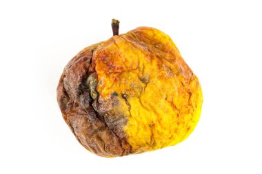 spoiled wormy yellow apple on a white background isolate. rotting fruit withered look clipart