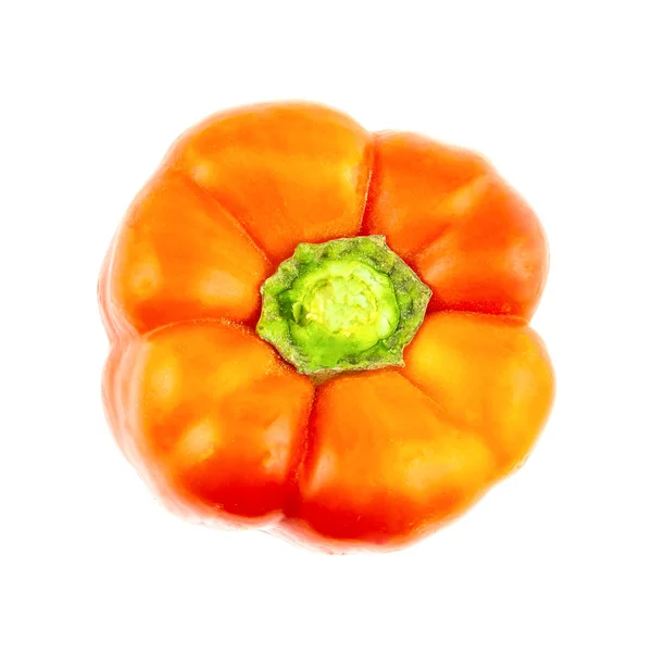 Gran jugosa naranja pimentón rojo la parte superior del tallo sobre un fondo blanco — Foto de Stock