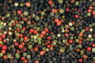 set peppercorns çeşitli kırmızı yeşil beyaz arka plan temeli geleneksel baharat