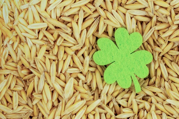 Licht groene klaver symbool Saint Patrick dag zaden gierst kopiëren ruimte — Stockfoto