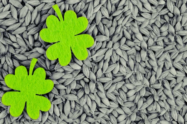 Paar groene klaverblaadjes graan rogge grijze achtergrond oogst basis kopie ruimte — Stockfoto