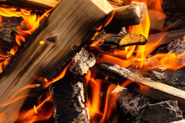 kütük odun kaplı yangın şenlik ateşi kamp arka plan yanan tasarım arka plan parlak