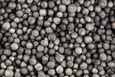 gri lekeli arka plan deseni peppercorn baz birçok temel tasarım substrat