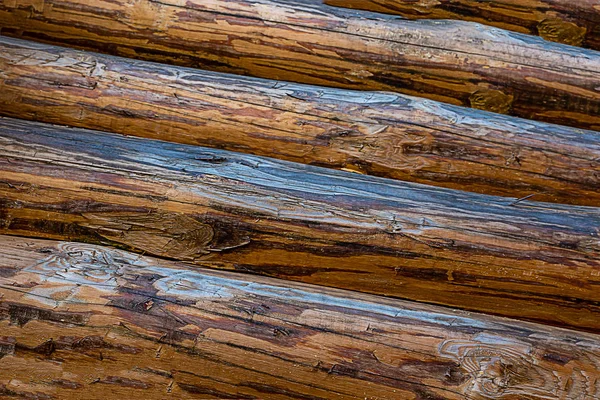 Настінний колода коричневий ребристий вивітрений жорсткий косий темно-коричневий фон основа — стокове фото