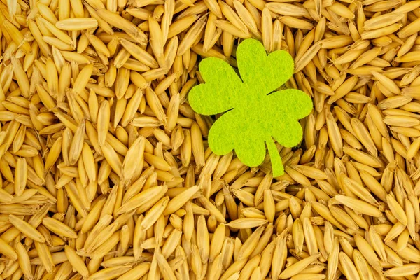 Gouden graan veel basis klaver groen brouwen basisontwerp. Ontwerp basis brouwen St Patricks Day — Stockfoto