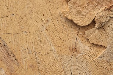 arka plan bej kahverengi doğal taban düzensiz sert ülke tasarım eko