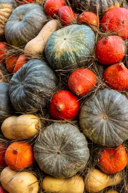 arka plan sebze duvar kabak koyu yeşil mini turuncu dikey desen