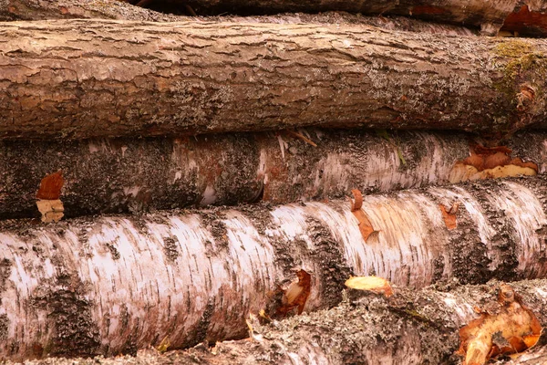 Pila de troncos primer plano de pino de abedul tronco paralelo irregular fondo duro rústico —  Fotos de Stock