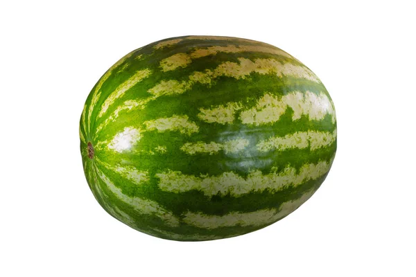 Melon d'eau baie entière grand savoureux mûr nervuré sur un fond blanc isolé lumineux — Photo