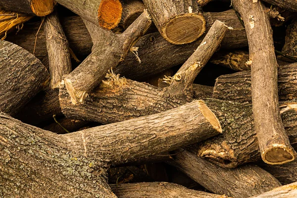Wood sawn logs texture natural closeup plan fuel background — Stock Photo, Image