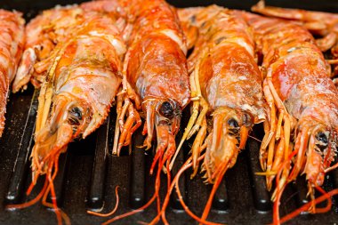 karides bütün lezzetli kırmızı kaplan closeup bıyık baş