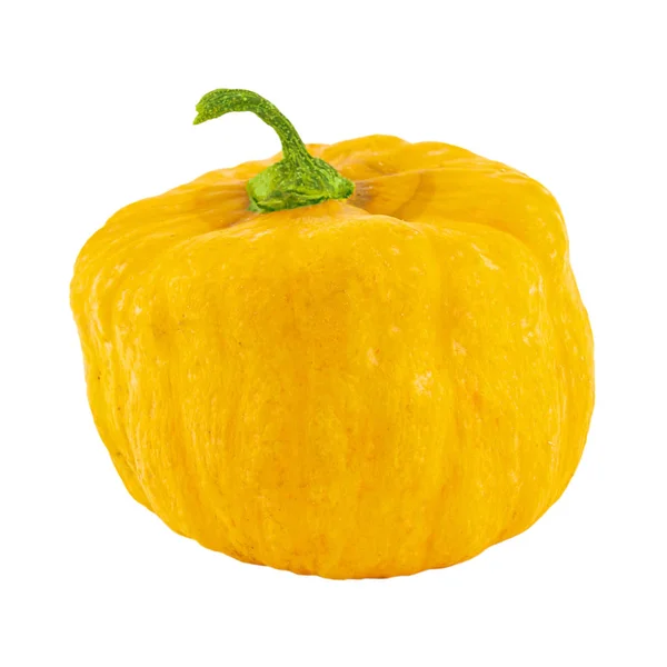 Pumpkin yellow mini bright ripe green stem isolated white background autumn harvest — Stock Photo, Image
