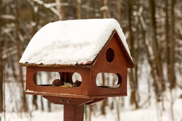 Casa de pássaro casa de pássaro animal proteção alimentar inverno dia neve telhado — Fotografia de Stock