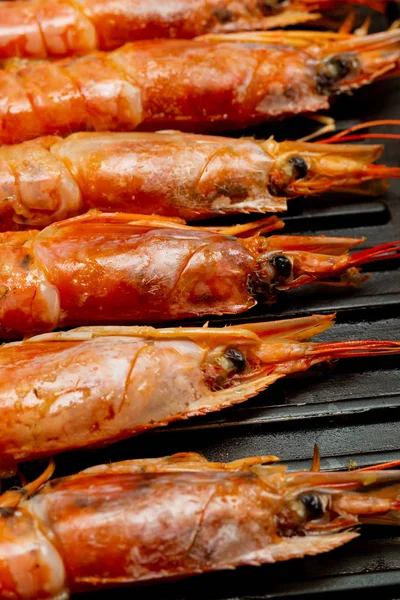 Gamberetti testa reale grande primo piano verticale modello frutti di mare Thailandia — Foto Stock