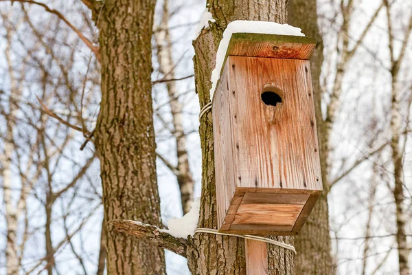 Pajarera de madera en un árbol cubierto de protección contra la nieve del frío —  Fotos de Stock