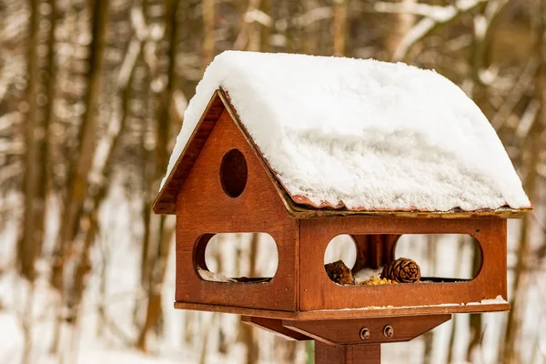 Legno uccello casa marrone tradizionale presepe tetto neve aiutare gli uccelli a proteggere gli abitanti della foresta — Foto Stock