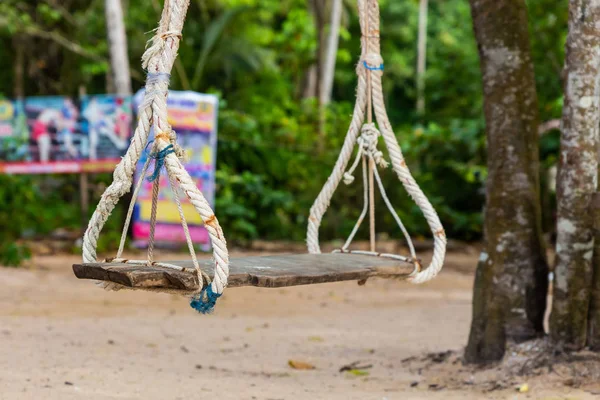 Swing geschorst op een boom buiten recreatie zonnige dag. Strand tropisch eiland Swing — Stockfoto