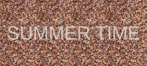 Testo estate tempo scritto su uno sfondo marrone shell spiaggia design base — Foto Stock