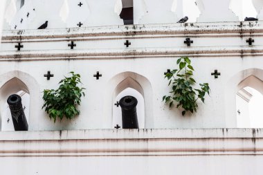 duvardan büyüyen yeşil ağaçlar ile terk edilmiş fort beyaz