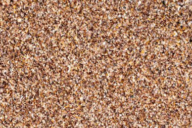 arka plan doku kırık kabukları birçok plaj okyanus koyu kahverengi