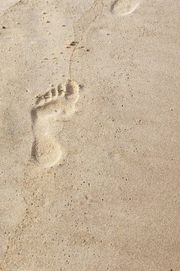 kum ulanında bırakılan ayak izi yükselir, temel tasarım kopyalama alanıdır